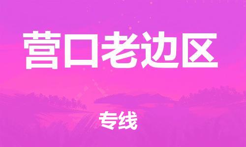 邯鄲到營口老邊區(qū)貨運(yùn)公司-物流專線每天發(fā)車「省時省力省心」